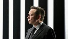 İlon Mask ilk dəfə insanlara çip implantasiyası haqqında danışacaq