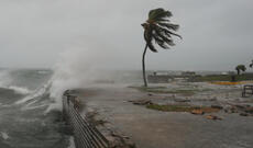 Melissa qasırğası ilə əlaqəli daşqınlar Haitidə 40 nəfərin ölümünə səbəb olub