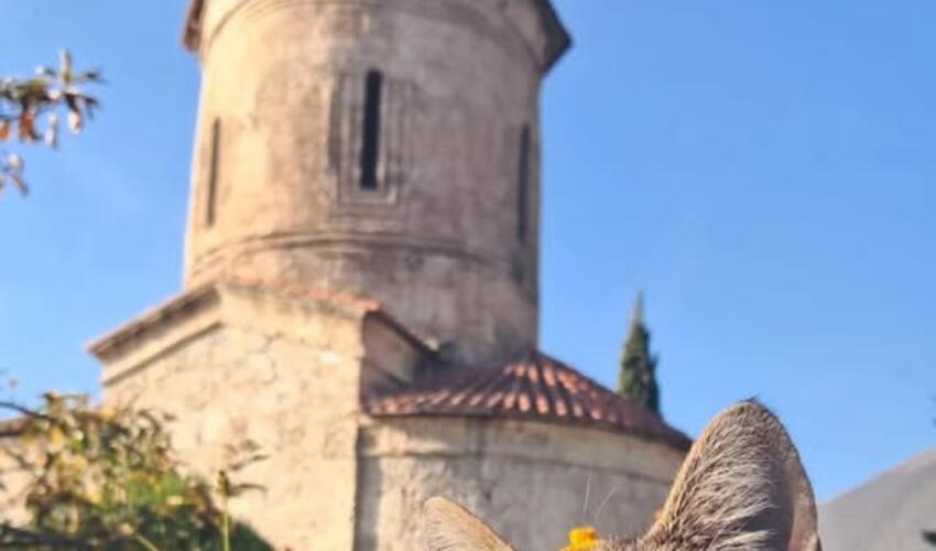 AĞDƏRƏDƏKİ SUQOVUŞAN VƏNGİ