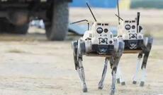 Çin döyüş robot-canavarlarını nümayiş etdirdi