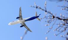 Yaponiyada Airbus təyyarələrindəki problemlər səbəbindən 95 uçuş ləğv edildi