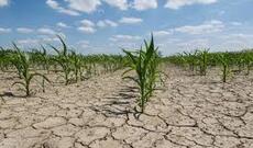 Su təhlükəsi altında Orta Asiya paytaxtları yox ola bilər