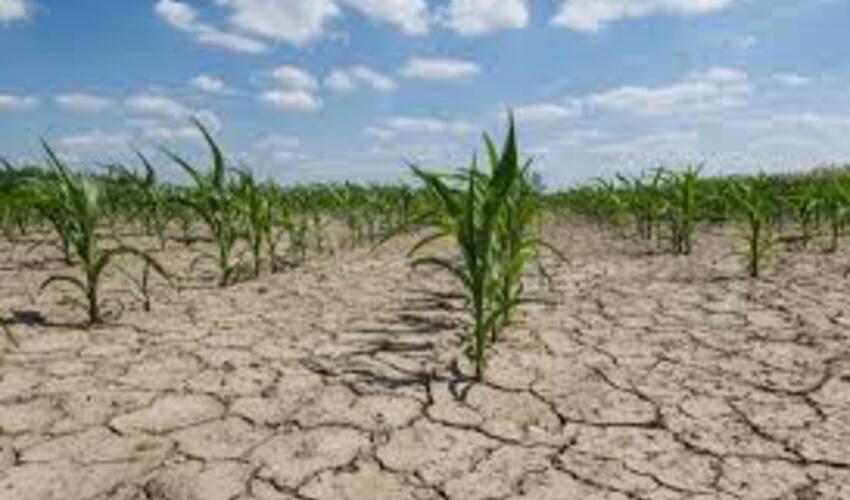 Su təhlükəsi altında Orta Asiya paytaxtları yox ola bilər