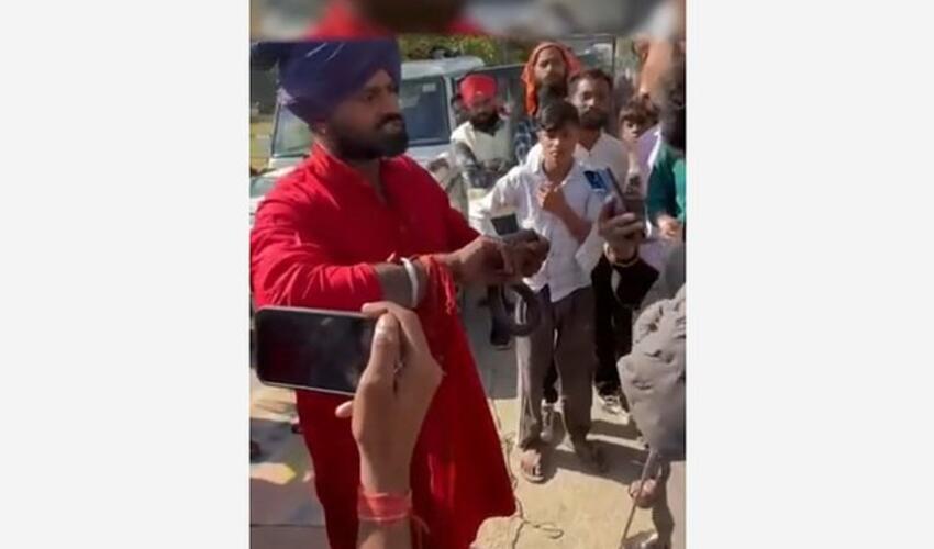 Hindistanda müalicəvi bitkilər satıcısı mərcə özünü ilana dişlətdirib və ölüb