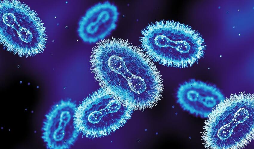 Böyük Britaniyada yeni meymunçiçəyi ştammı aşkar edilib