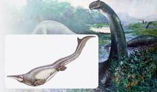 Milyon illər əvvəl dünyada dinoзаврları yeyən dəniz sürünəni yaşayıb