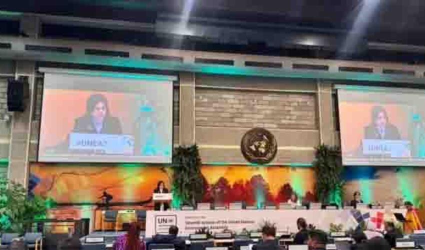 Azərbaycan BMT Ətraf Mühit Assambleyasının 7-ci sessiyasında Milli Bəyannaməsini təqdim etdi