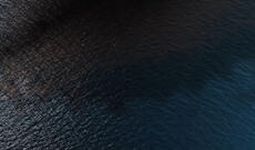 Yapon alimləri sərt mühitlərə yüzlərlə dəfə daha davamlı yağ əvəzedicisi kəşf etdilər