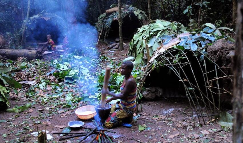 Ovçu-yığıcıların qədim DNT-si uzunömürlülüyün sirrini açdı