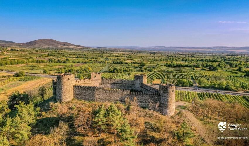 Kaxetiyada Naxçıvan qalası və gürcü şovinzmi