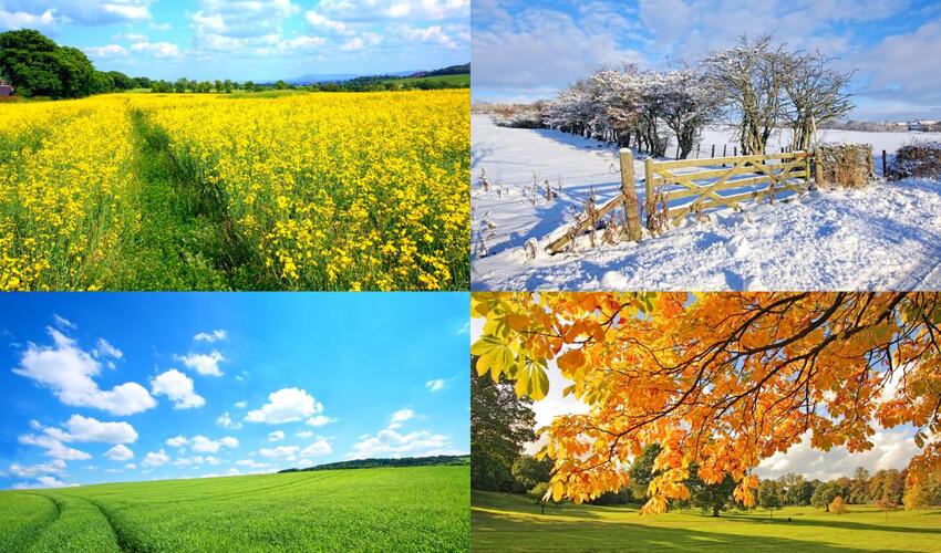 Alimlər Yer kürəsindəki fəsillər haqqında sensasiyalı bir kəşf etdilər