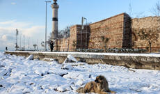 Türkiyədə güclü "Sibir" şaxtaları gözlənilir