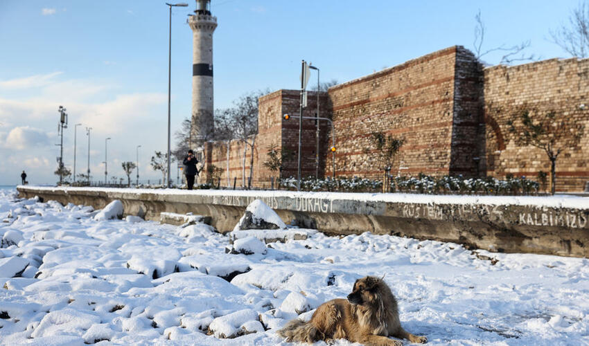Türkiyədə güclü "Sibir" şaxtaları gözlənilir