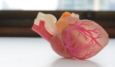 Həkim xəbərdarlıq edir: Gənclərin ürəyi sürətlə məhv olur