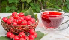 Yemişan: Min bir dərdin dərmanı