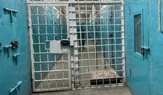 Qazaxıstanda 2000-dən çox insan cəzaçəkmə müəssisələrindən azadlığa buraxılıb