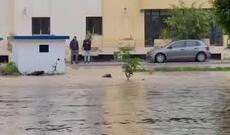 Tunisdə yağışın yaratdığı daşqınlar dörd nəfərin ölümünə səbəb olub