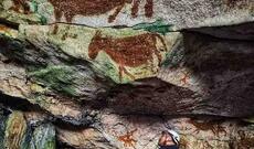 İndoneziyanın mağara rəsmləri dünyanın ən qədim nümunələri ola bilər