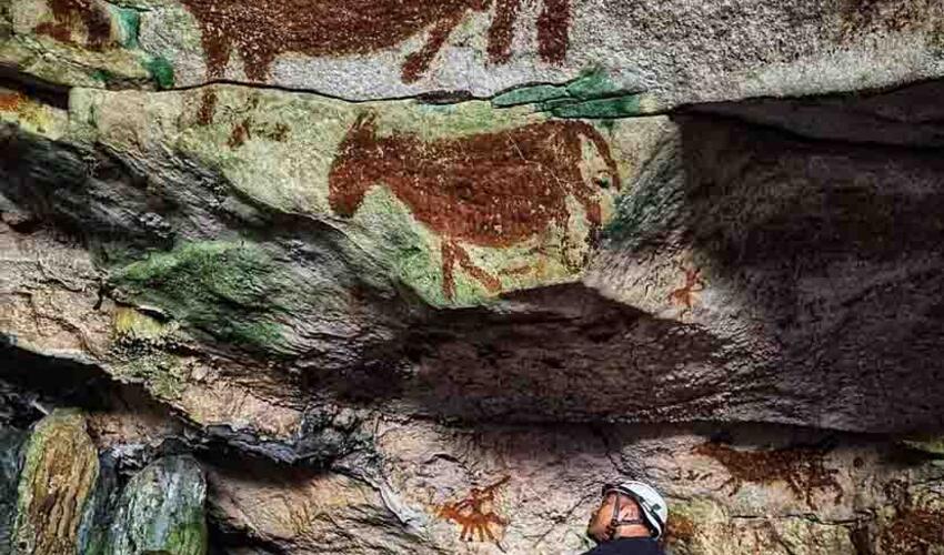 İndoneziyanın mağara rəsmləri dünyanın ən qədim nümunələri ola bilər