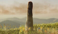 Naməlum təbiətli nəhəng orqanizm alimləri çaş-baş salıb