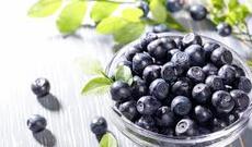 Məşhur bir giləmeyvədə hüceyrə qocalmasını yavaşladan maddələr aşkar edilmişdir