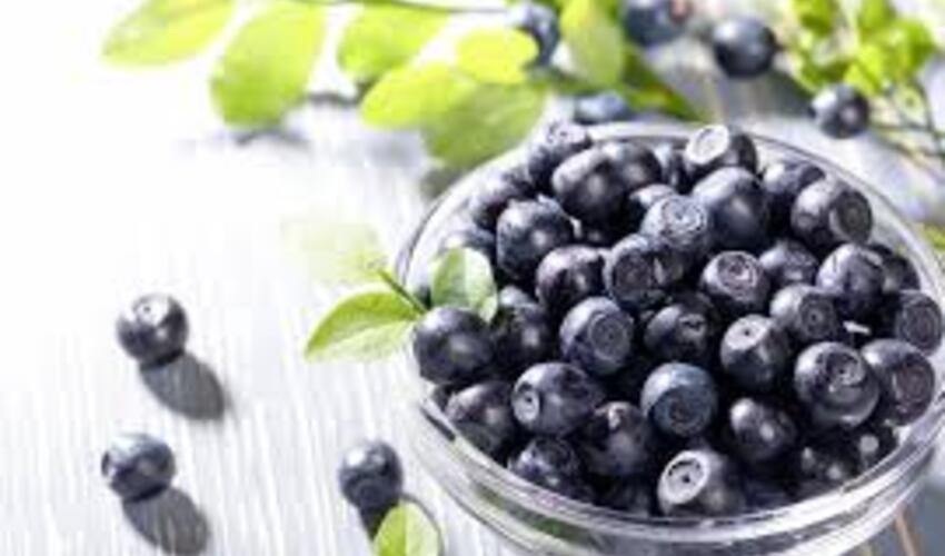 Məşhur bir giləmeyvədə hüceyrə qocalmasını yavaşladan maddələr aşkar edilmişdir