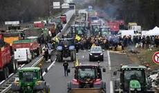 BMT ekspertləri Fransada etiraz edən fermerlərin həbslərindən narahatdırlar