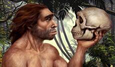 Alimlər neandertalların necə yox olmasının yeni izahını tapıblar