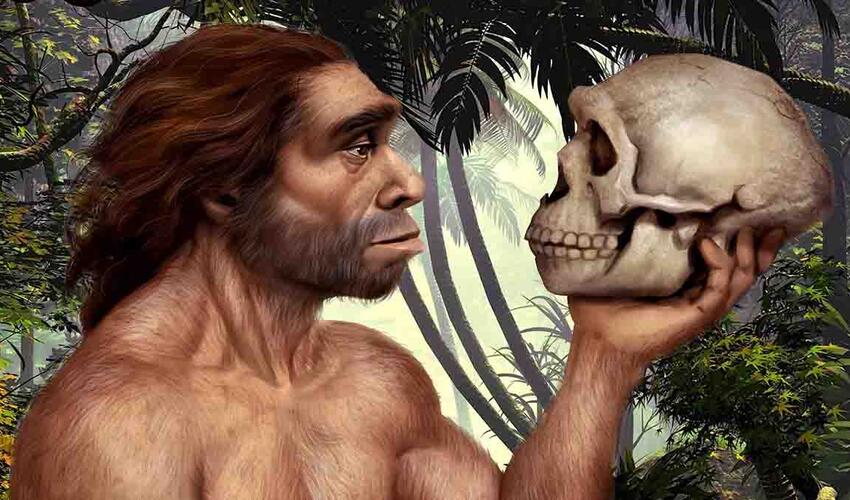 Alimlər neandertalların necə yox olmasının yeni izahını tapıblar
