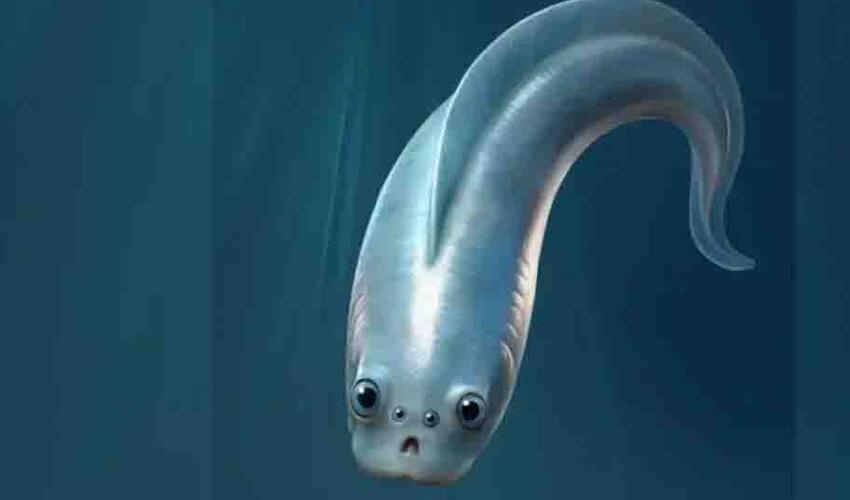 İnsanların ən qədim əcdadları dörd gözə sahib olublar