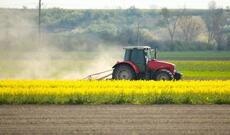 Gürcüstanda xaricilərə kənd təsərrüfatı təyinatlı torpaqların satışı qadağan edilib