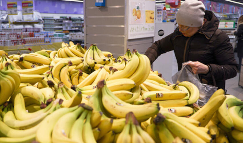 Rusiyada 14 sm-dən kiçik bananların satışı qadağan ediləcək