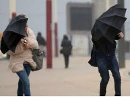 Küləkli hava şəraiti ilə əlaqədar sarı xəbərdarlıq verilib