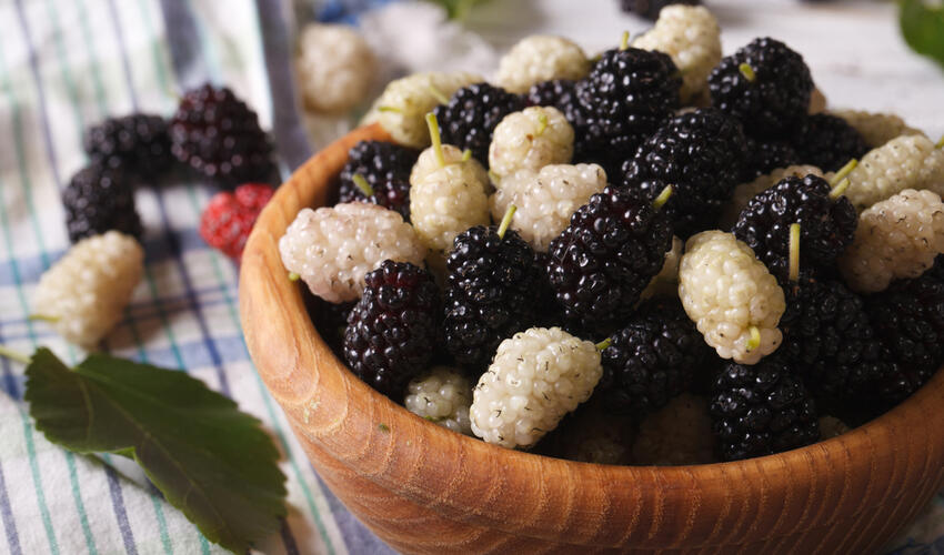 "Pis" xolesterini azaldan giləmeyvənin adı açıqlandı