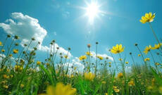 Sabah bəzi yerlərdə 25 dərəcə isti olacaq