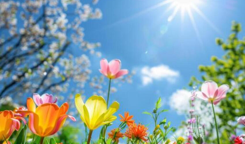 Sabah paytaxtda hava əsasən yağmursuz olacaq