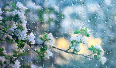 Sabah bəzi yerlərdə yağış və qar yağacaq, yağıntılar axşama doğru tədricən kəsiləcək