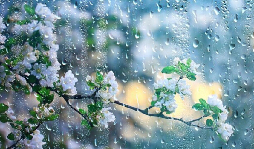 Sabah bəzi yerlərdə yağış və qar yağacaq, yağıntılar axşama doğru tədricən kəsiləcək