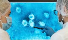 Epstein-Barr virusunu tamamilə bloklayan antikor yaradılıb