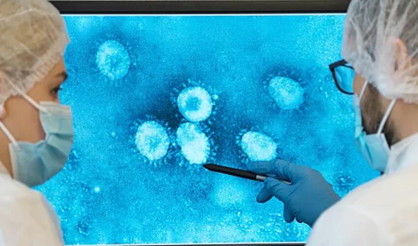 Epstein-Barr virusunu tamamilə bloklayan antikor yaradılıb