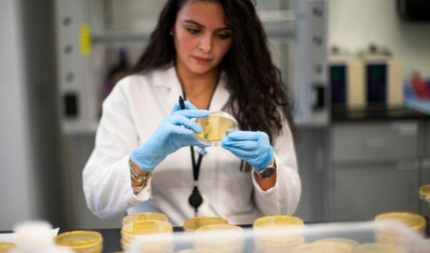 Ukraynada Yeni COVID-19 "Cicada" ştammının ilk halı təsdiqləndi