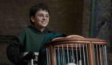 Yeni "Harry Potter" filminin premyerası 2026-cı ilin dekabrında baş tutacaq