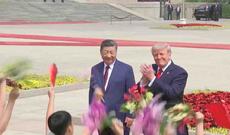 Tramp: Çin Amerika nefti və soya paxlası almaq istəyir