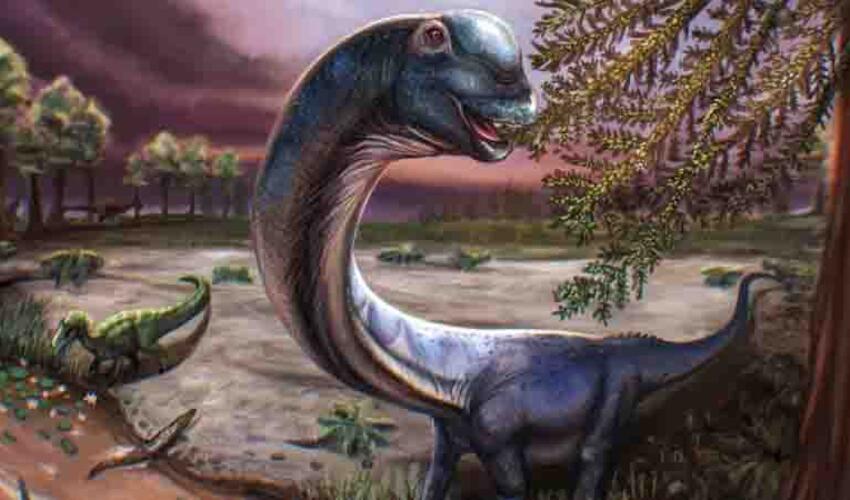 Alimlər Tailandda tapılan sümüklərdən yeni nəhəng dinozavr növünü müəyyən ediblər