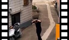 Günün videosu