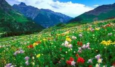 Sabah ölkə ərazisində havanın temperaturu 36 dərəcəyə yüksələcək