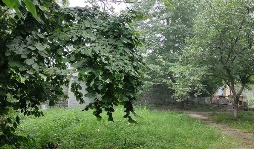 Sabah  hava şəraitinin dəyişkən buludlu olacağı, gündüz bəzi yerlərdə yağış yağacağı gözlənilir
