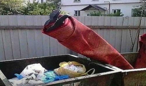 Günün fotosu