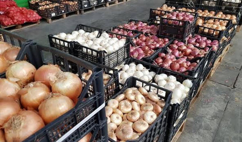 Gürcüstan Azərbaycandan soğan idxalını 49 dəfə artırıb