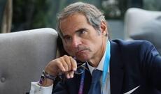 Qrossi: BMT yavaş-yavaş ölür, dəyişikliklərə ehtiyac var